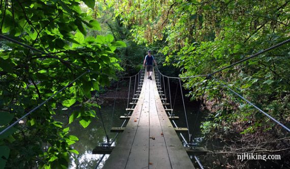 Hiker crossing the swinging bridge in Institute Woods