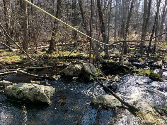 Rope used to cross a difficult stream crossing.