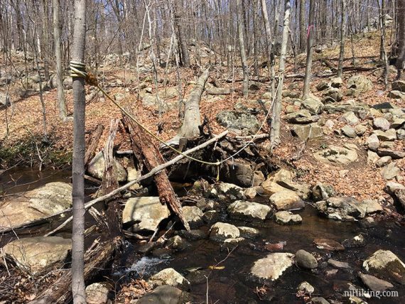 A rope strung between two trees to help cross a stream.