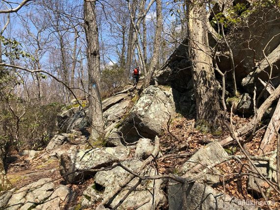 Hiker going up a large rocky section of trail.