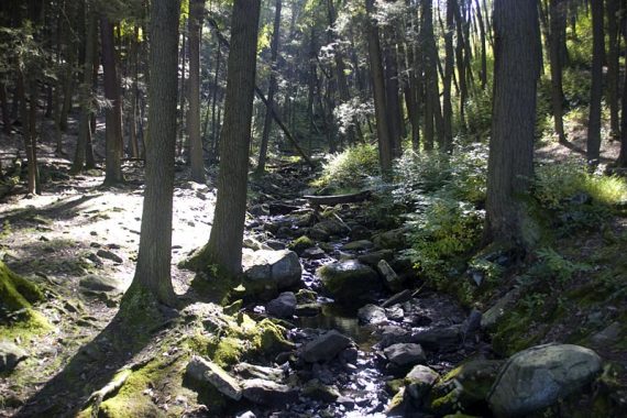 Rocky streambed at the top of Buttermilk Falls.