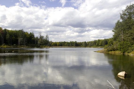 Trees reflected in the calm water of Hemlock Pond.