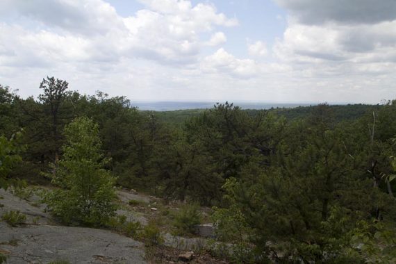 View along the Appalachian Trail.