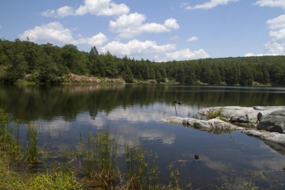 Green trees reflected in Hemlock Pond.