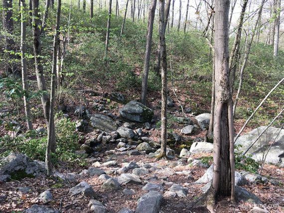 Rocky trail.