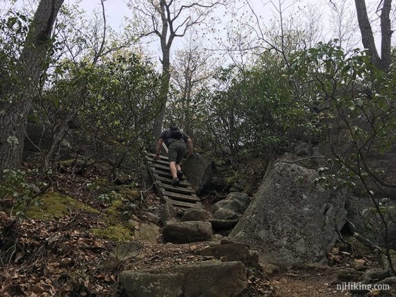 Hiker going up a wooden trail ladder.