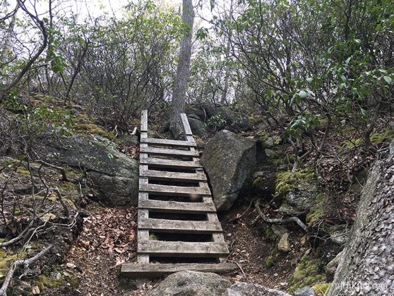 Wooden trail ladder up a steep slope.