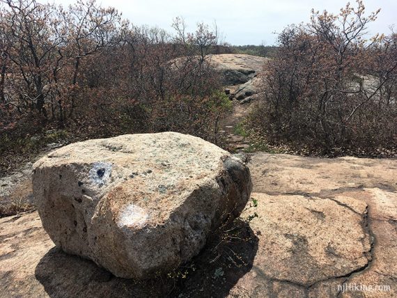 Large rocks along a trail.