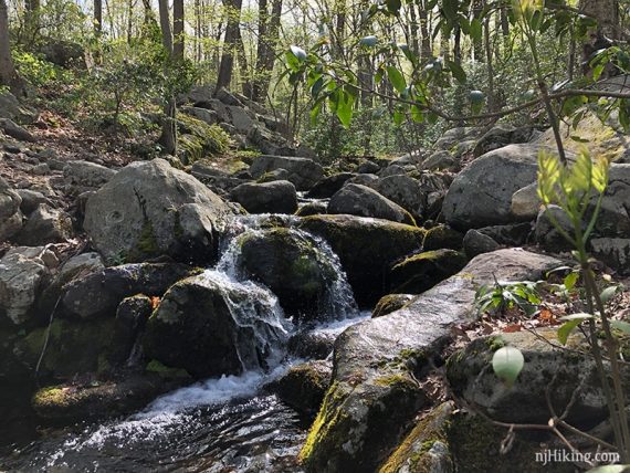 Water tumbling over large rocks in a stream.