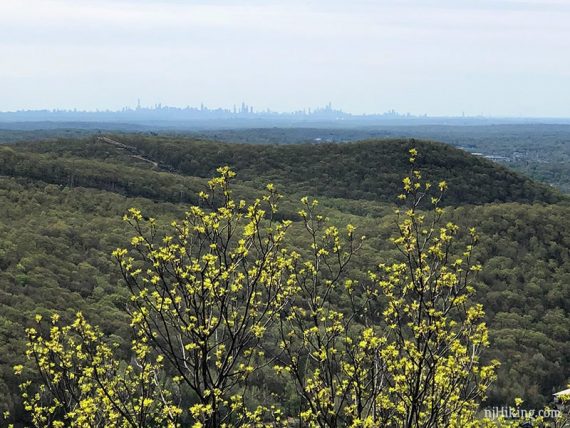 NYC skyline from Harriman.