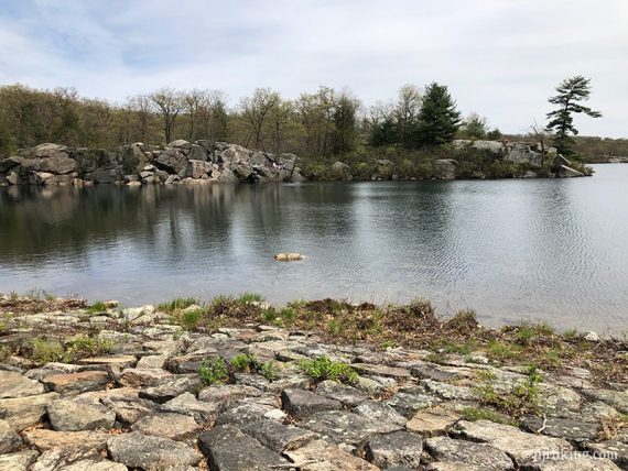 Pine Meadow Lake.