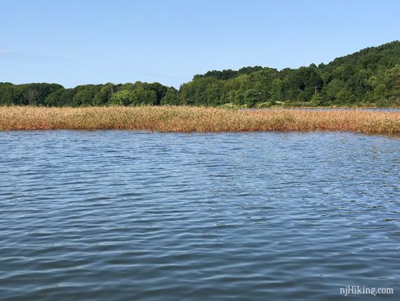 Brown grasses at the edge of a blue lake.