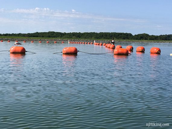 Rope with buoys on a lake.
