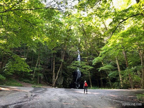 Buttermilk Falls seen from the parking lot.