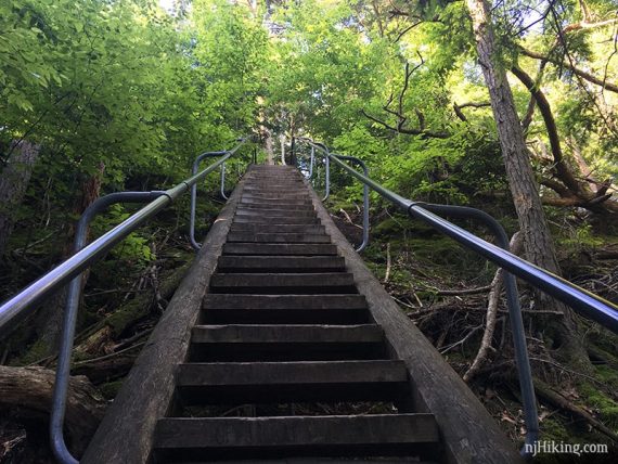 Looking straight up steep wooden stairs with metal railings on either side.