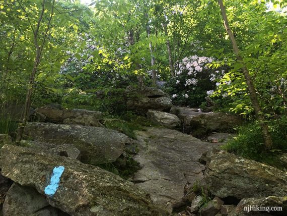 Steep rock slabs on a trail.