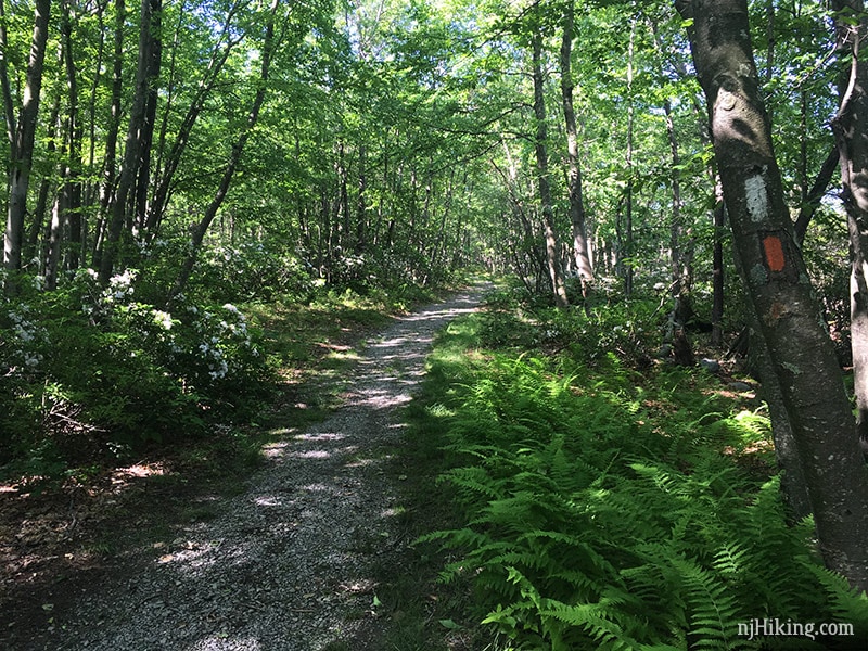 Appalachian Trail and Crater Lake Trail