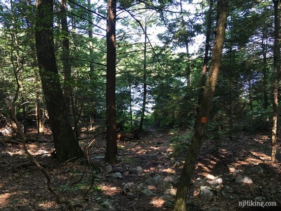 Hemlock Pond visible through trees.