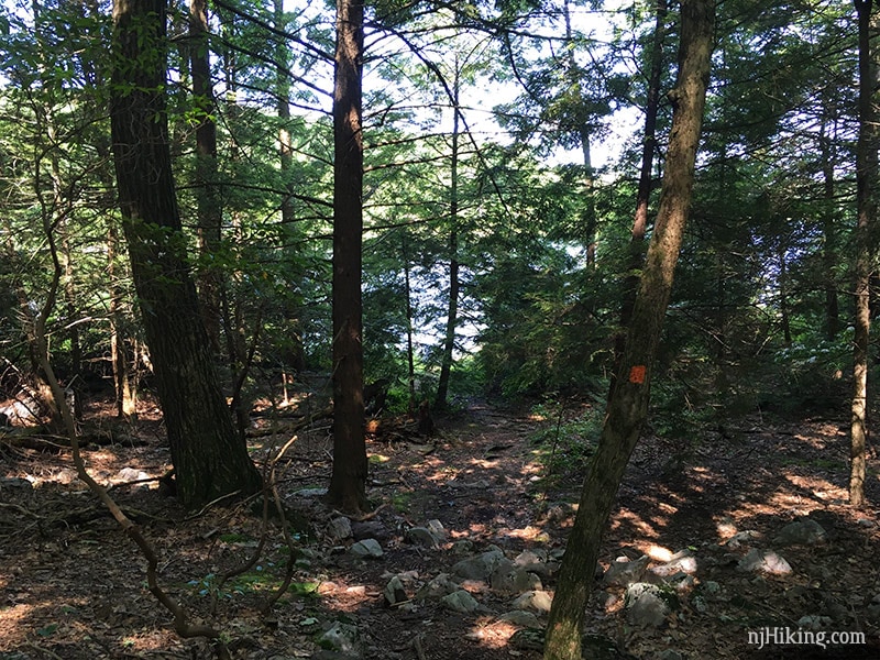Hemlock Pond Trail
