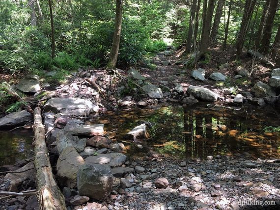 Stream crossing with rocks.