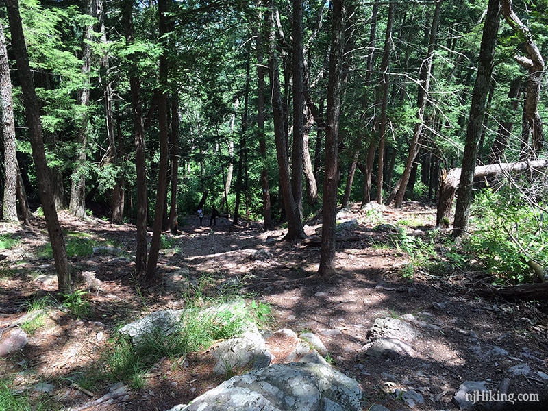 Buttermilk Falls trail on the way down.