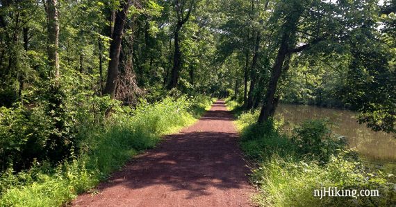 Flat dirt path along a canal with green trees on either side.