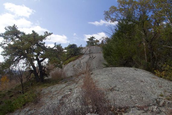 Ernest Walker trail along a ridge