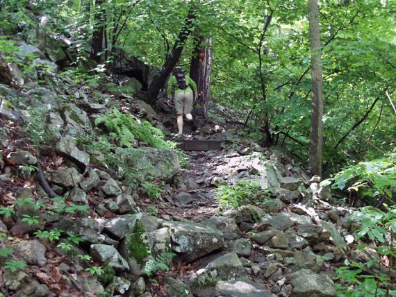 Rocky uphill trail