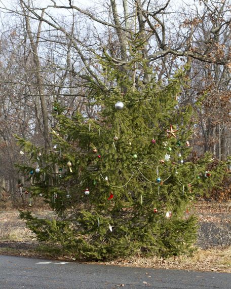 Christmas tree at Washington Rock.