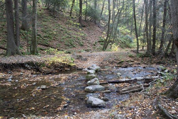 One of several Dunnfield Creek crossings