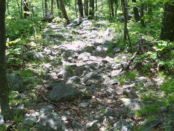 Trail surface filled with rocks.