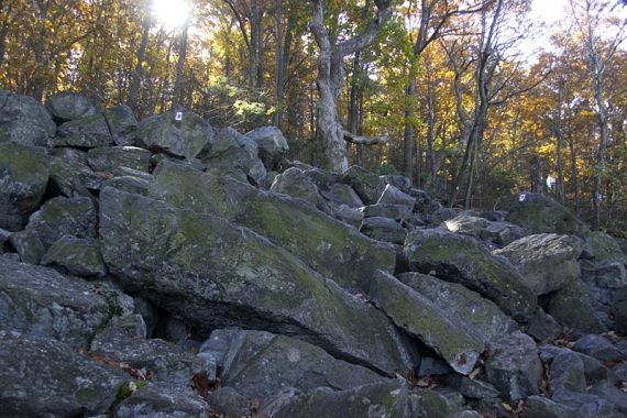 Rocky section of the Red Dot trail on the way up.