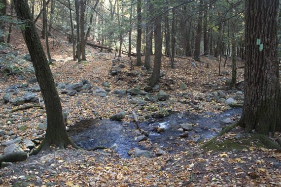 Stream crossing on rocks and logs