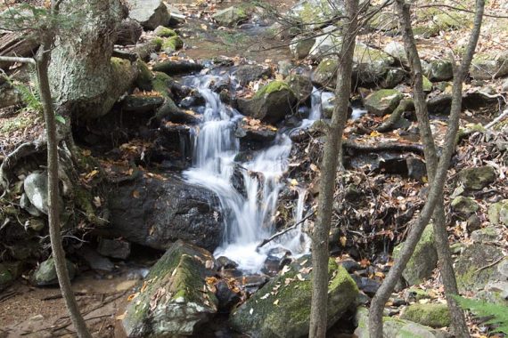 Cascade along Dunnfield Creek Trail