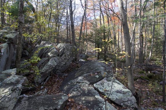 Rocky trail on Ernest Walker