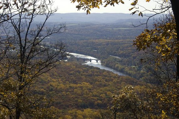 View of a bridge over a river in the distance.