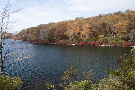 Sunfish Pond from Turquoise Trail at end of the pond.