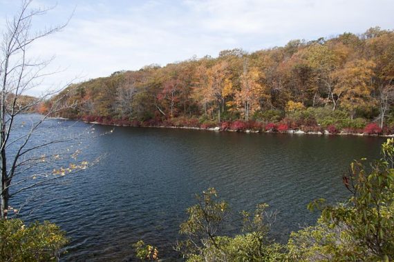 Sunfish Pond from Turquoise Trail at end of the pond