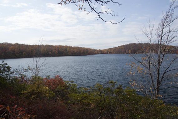 Sunfish Pond.