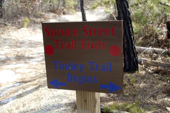 Trail sign indicating the intersection of Spruce Street and Tindey.