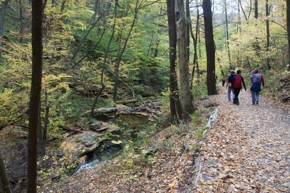 Appalachian Trail; nearing the parking lot.