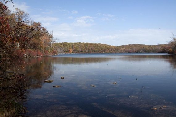 Sunfish Pond from the southern end, near Dunnfield Creek trail