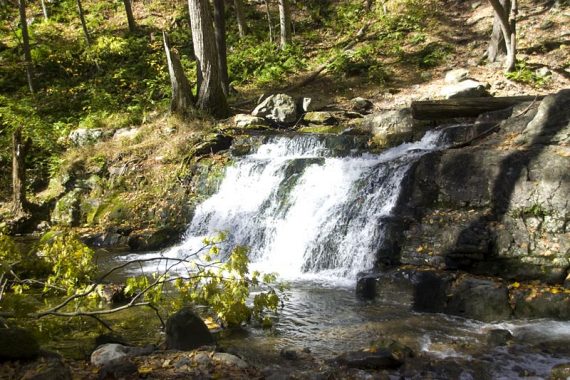 Dunnfield Falls cascading over stepped rocks.