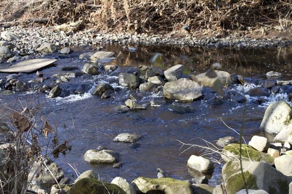 Possibly tricky stream crossing on the Rahway Trail