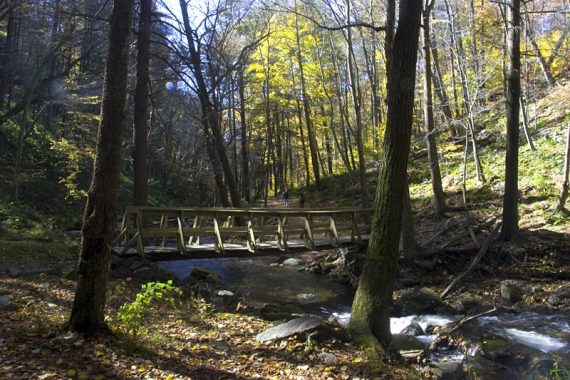 Bridge over Dunnfield Creek.