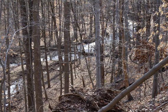 Rahway Trail travels on a ridge above the river