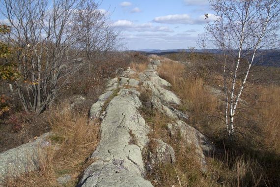 The AT stays on the ridge for a bit, with nice views