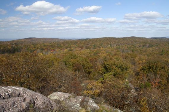 View from the ridge