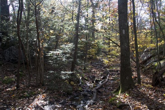 Appalachian Trail