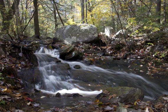 Water cascade and cross a stream on rocks